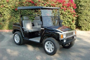 affordable golf cart rental, golf cart rent massachusetts