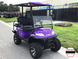 Purple Advanced EV 4 Passenger Golf Cart massachusetts golf cart service, golf cart repair massachusetts
